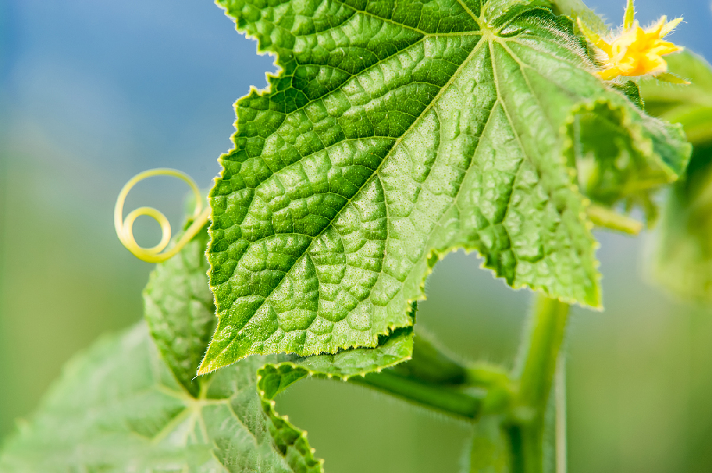 1666165917170937.png 圖片1.png