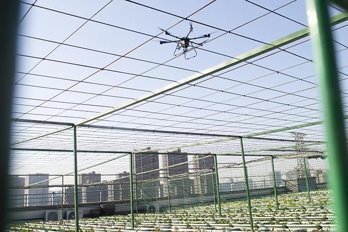 基于無人機高光譜技術的煙草生化指標分析研究