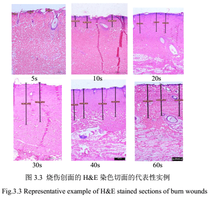 1667446290458098.png 圖片3.png