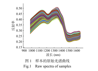 1706774792166978.png image.png