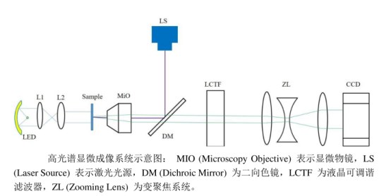 1711420051287697.png image.png