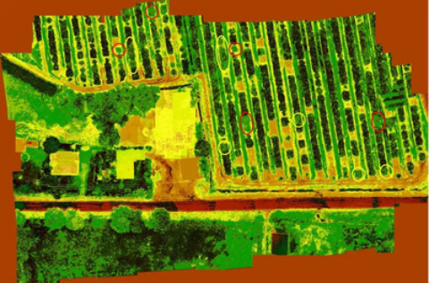 1714273041652747.png image.png