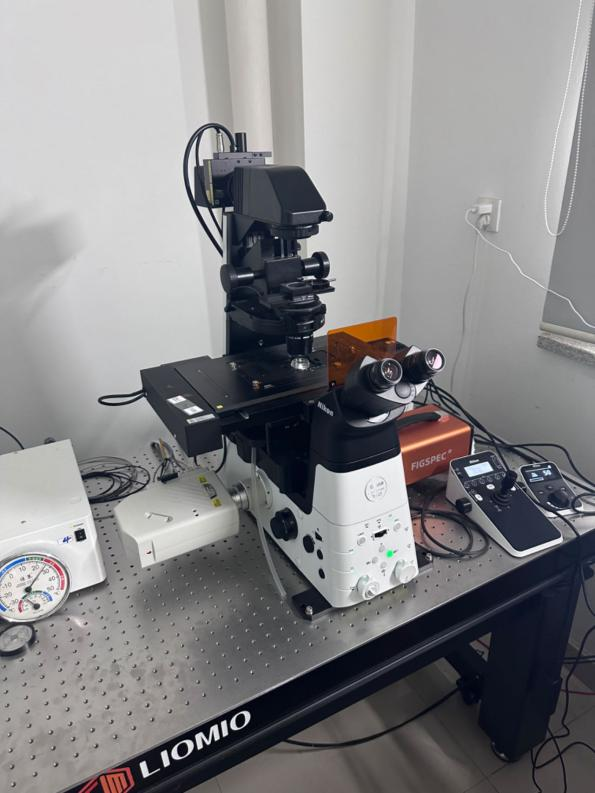 1715655402798549.png 1715655402798549.png