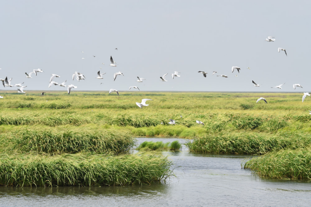 高光譜相機(jī)在濕地監(jiān)測方面的應(yīng)用