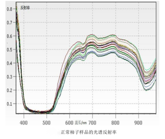 1717122033184032.png image.png