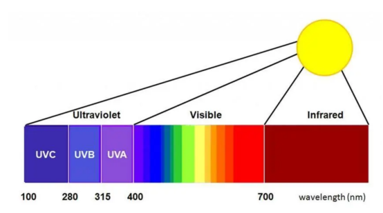 1726820703119915.png image.png