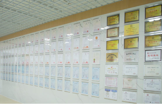 1740205496782222.png image.png