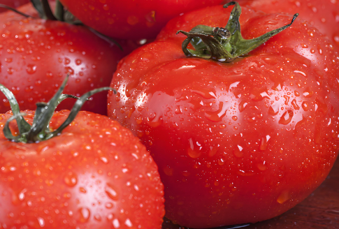 高光譜相機在番茄品質檢測中的創新應用：從實驗室到產業化的技術跨越