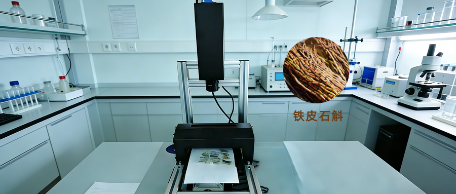 高光譜成像技術在鐵皮石斛產地鑒別中的應用探索